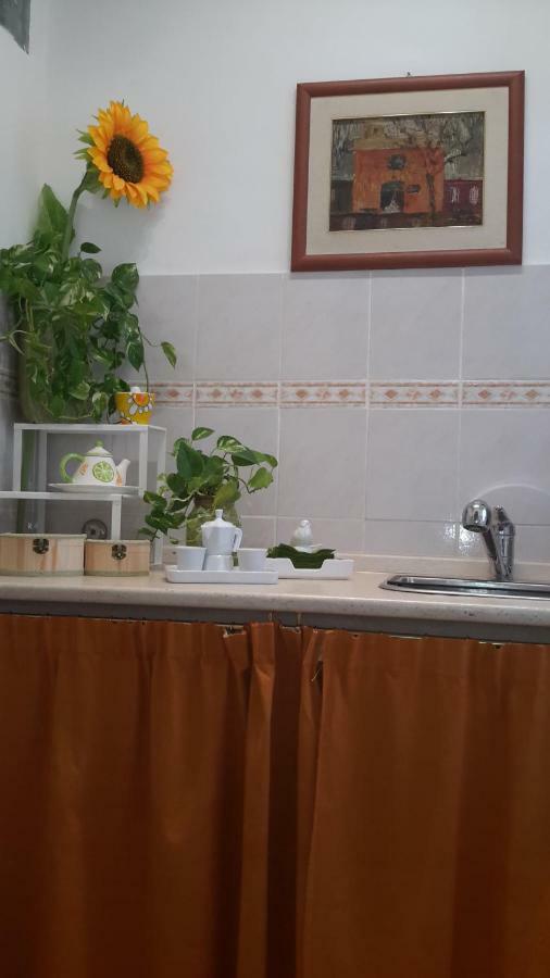 روما Le Tre Sorelle B&B Garbatella المظهر الخارجي الصورة